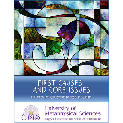 image First Causes and Core Issues by Christine Breese
